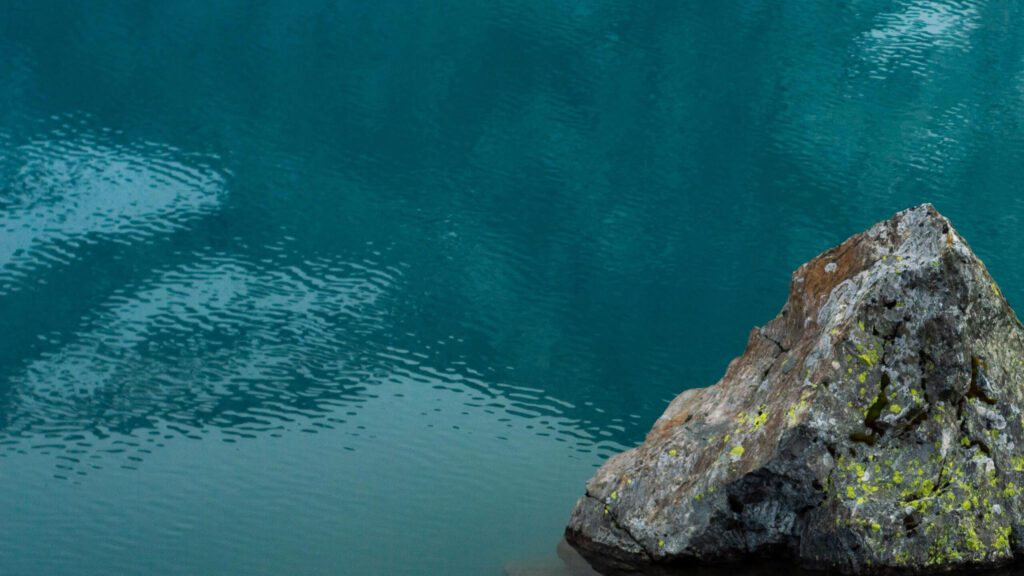 loibichler-nachhaltigkeit-zukunftsdenken